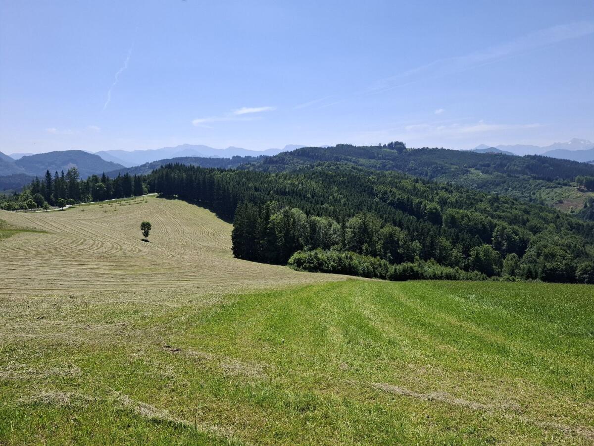 Heuballen 1. Schnitt 3