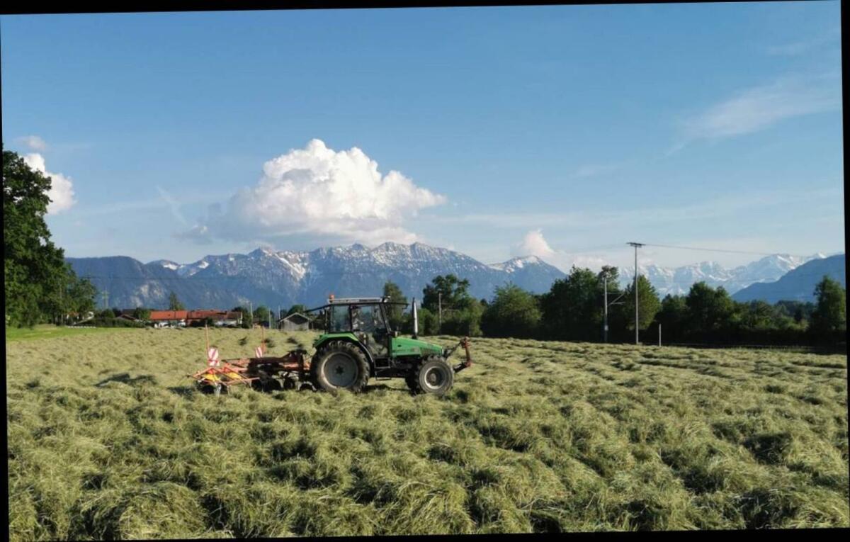 Heu Grummet Rundballen 3