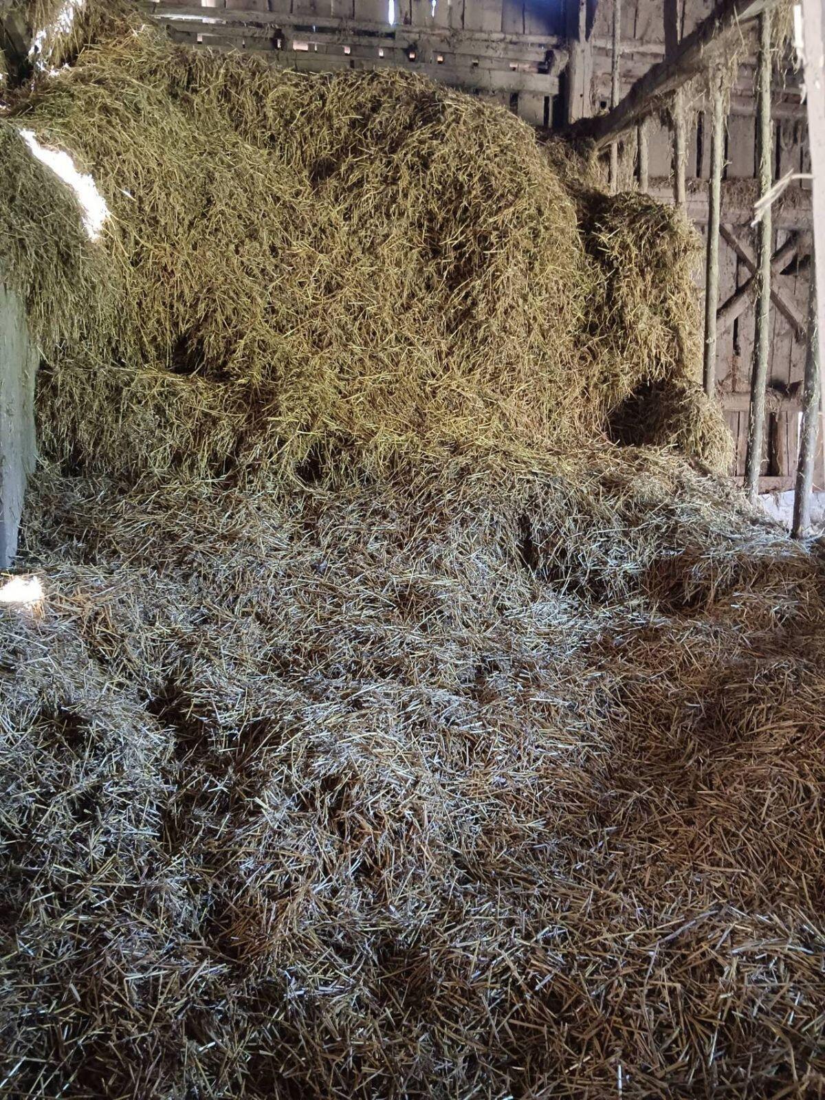 Stroh lose zu verschenken 3
