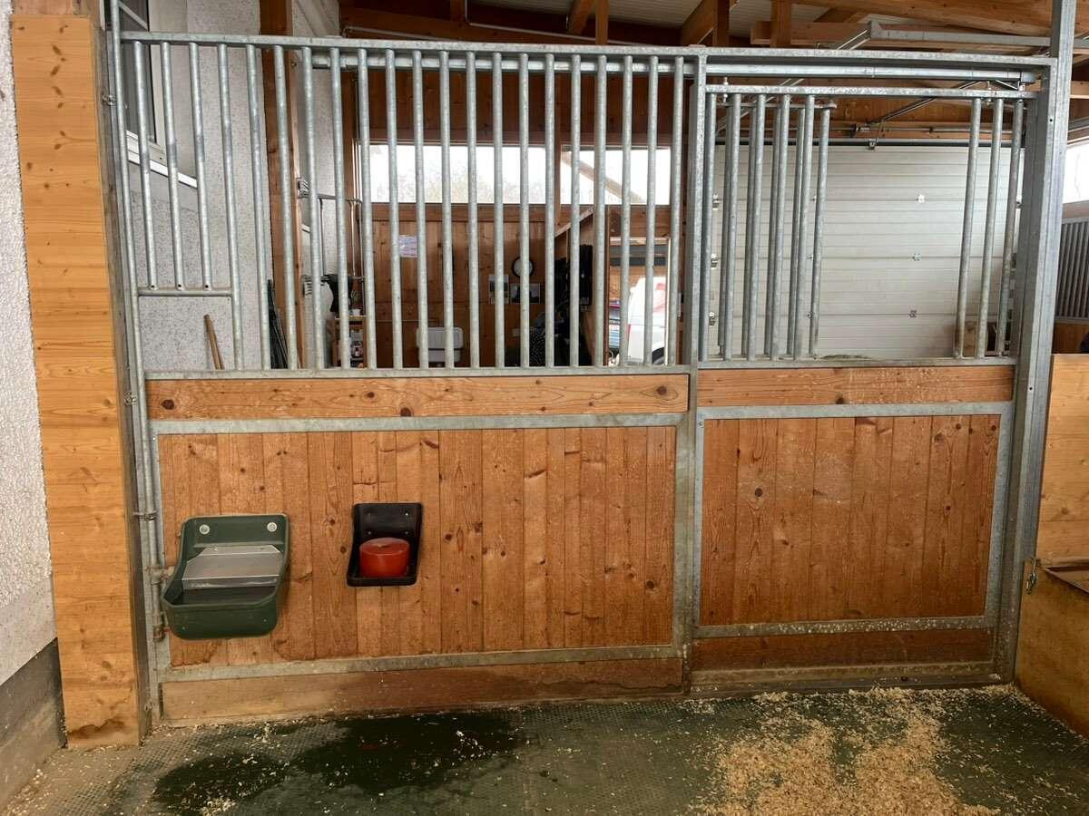 Pferdeboxen 3