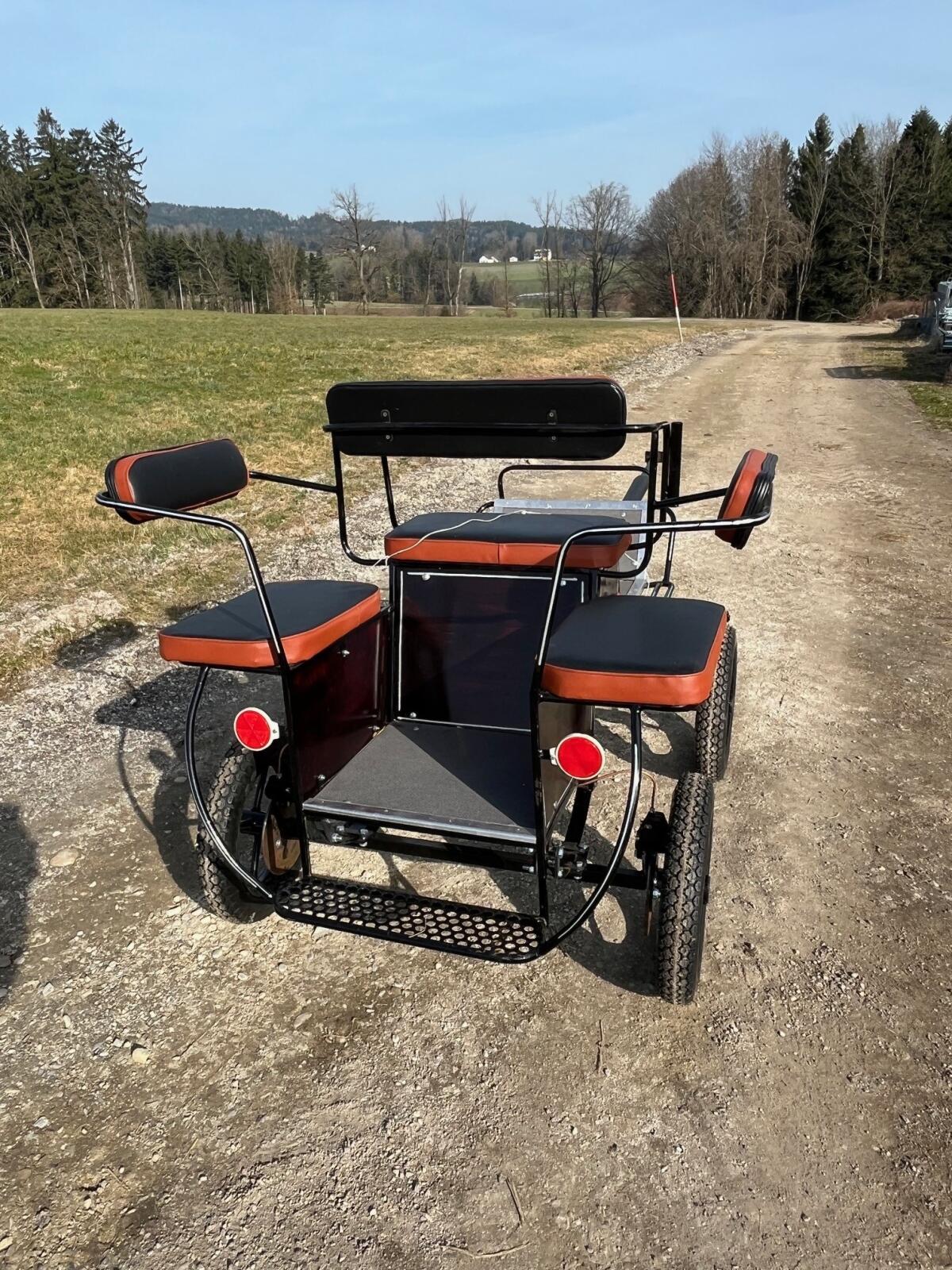 Mini Ponykutsche, Mini Kutsche 2
