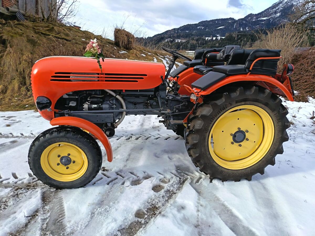 Steyr 188, Bj. 1964 2