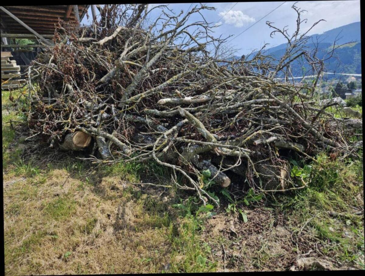 Brennholz, Hackgut zu verschenken 2