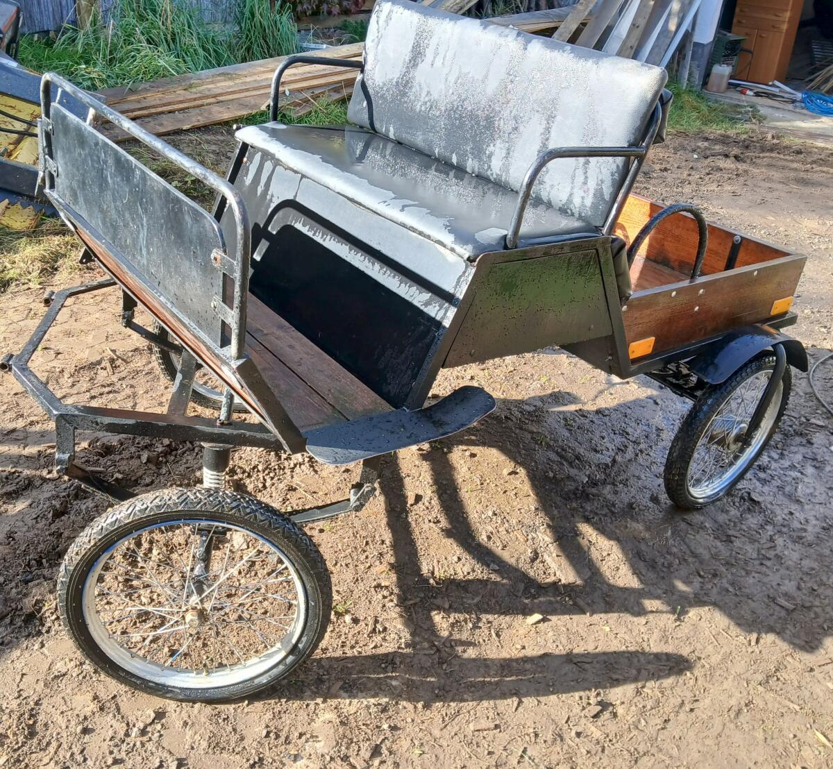 Leichte Ponykutsche 3