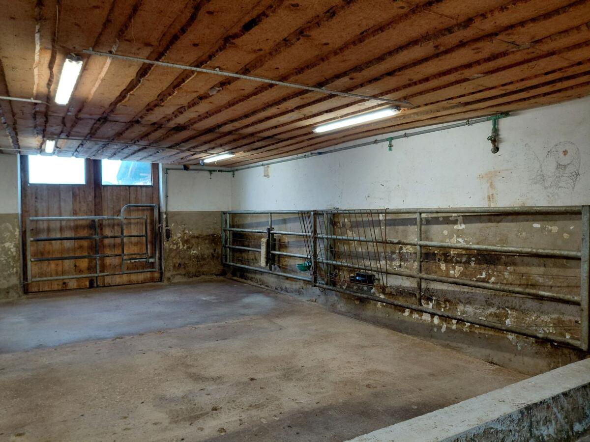Aufstallung 3