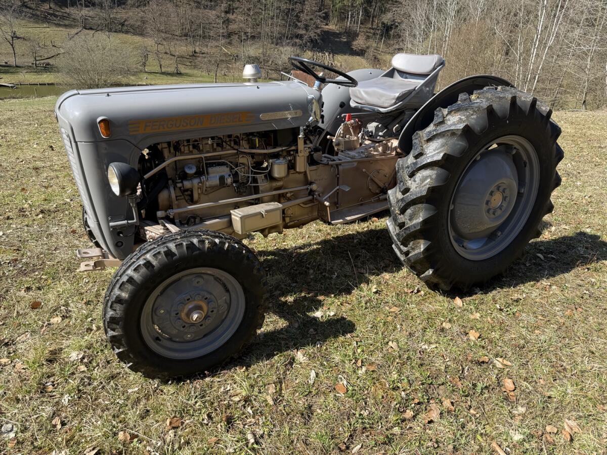 Ferguson Goldbauch FE35 2