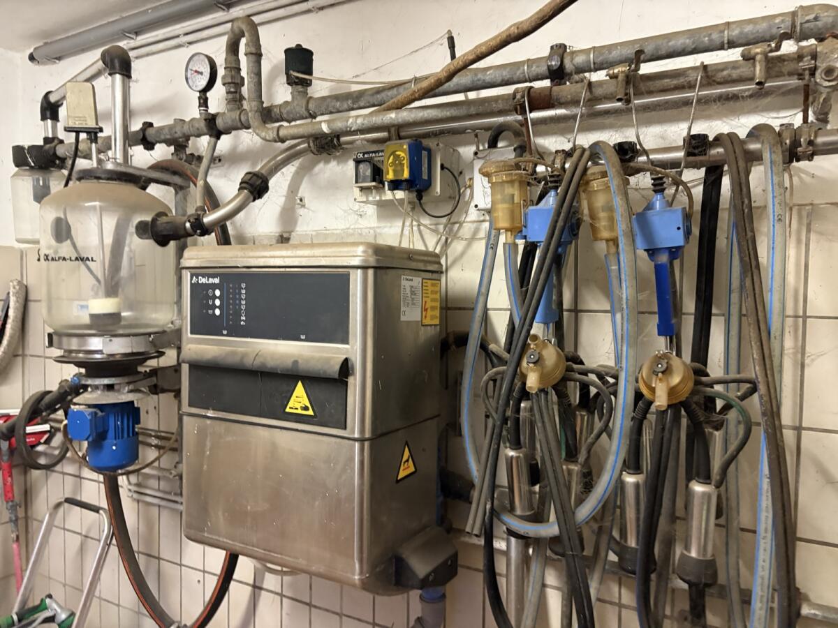 Rohrmelkanlage 2