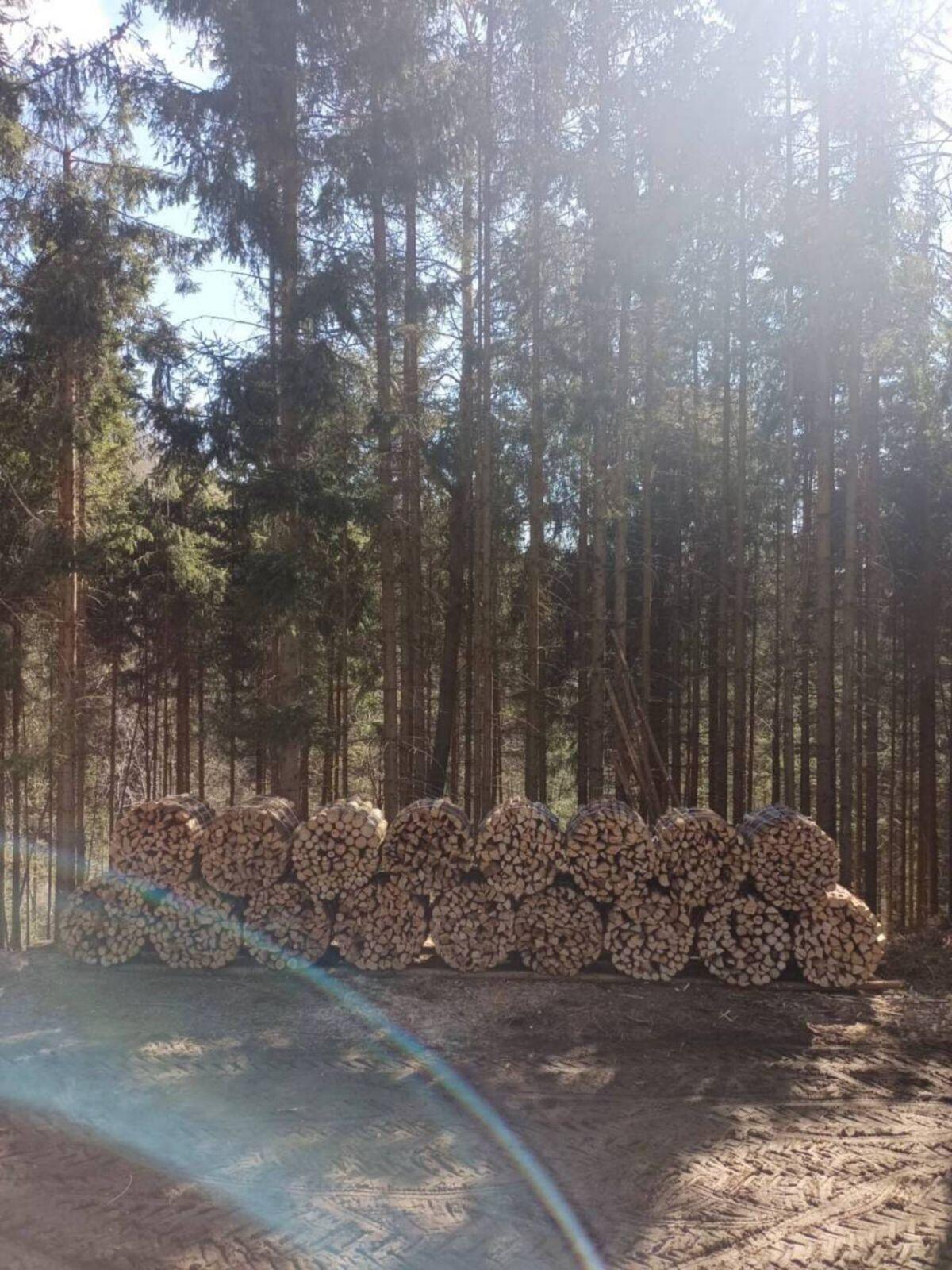 Brennholz 2
