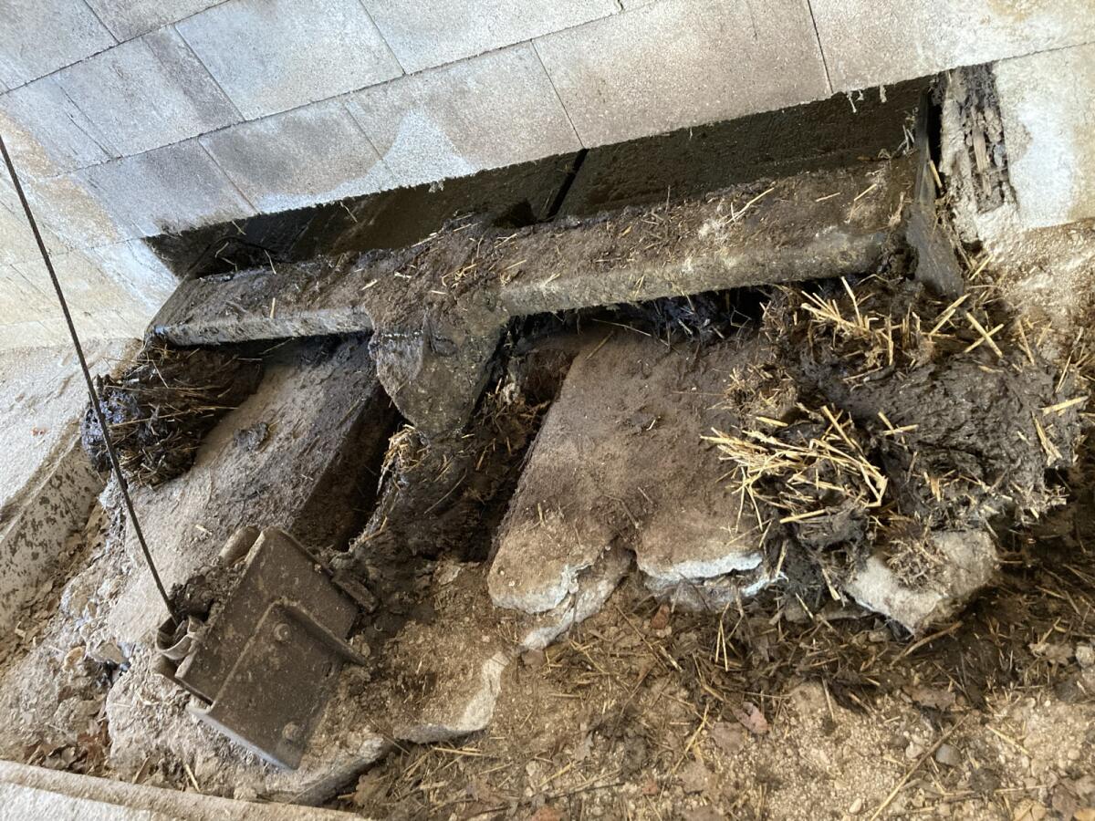 Schauer Entmistungsanlage 3