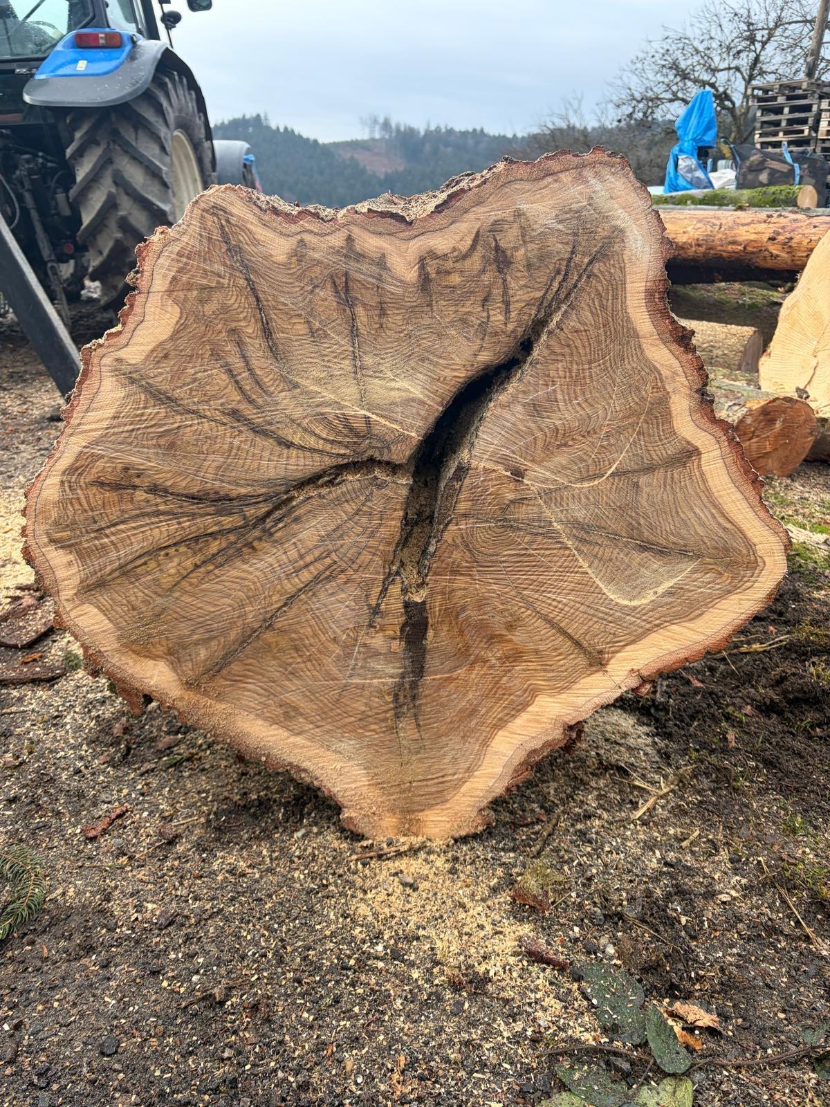 Verkaufe Eichenstamm 3