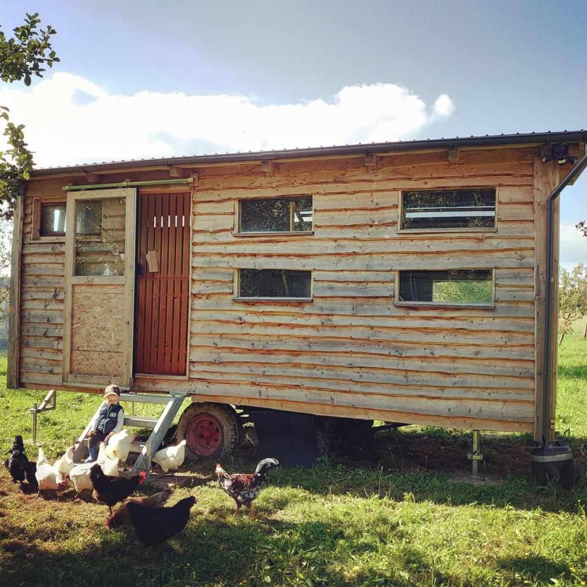 Mobiler Hühnerstall 2