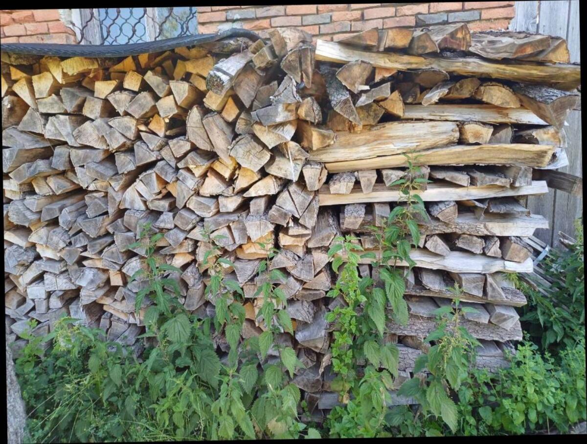 Brennholz Esche Erle 2