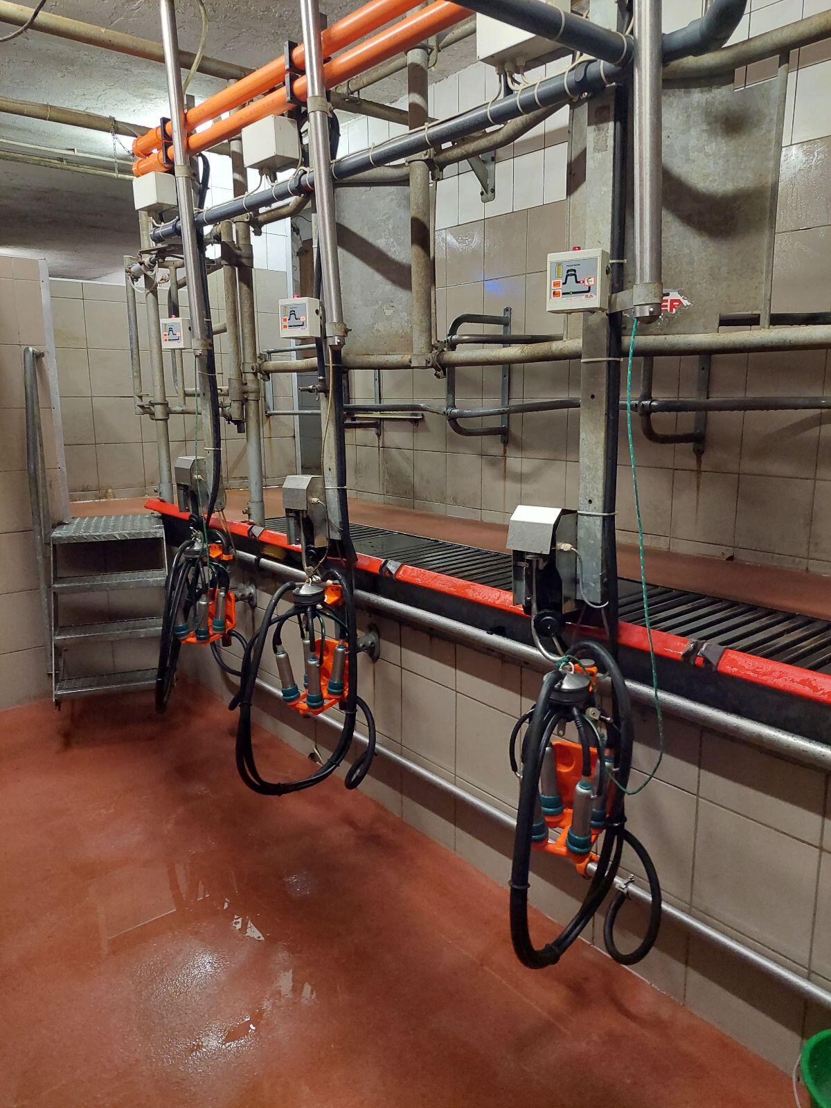 Melkstand 2x3 Fischgräten 3