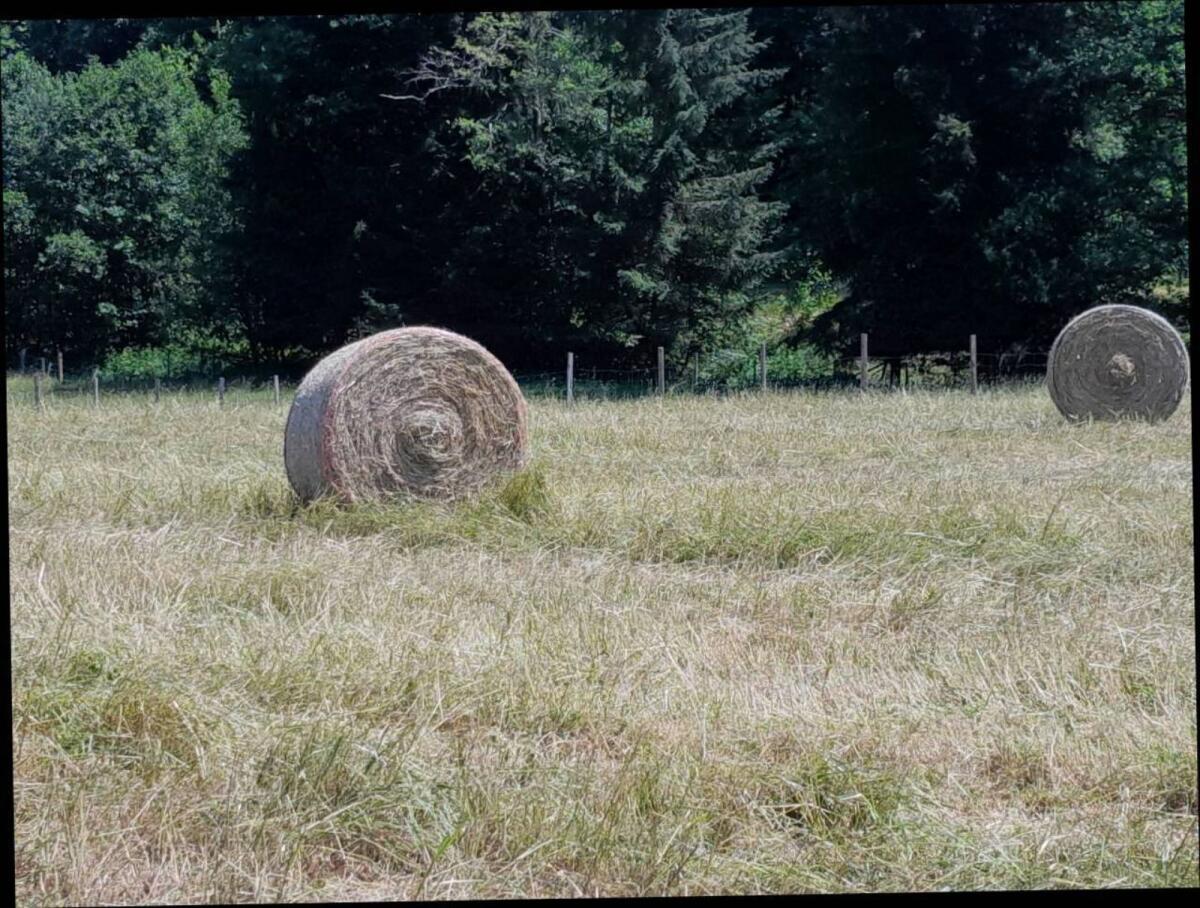 Bio Heurundballen 2