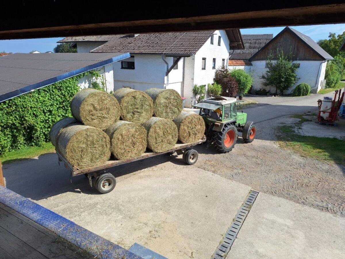 Rundballentransporter 2