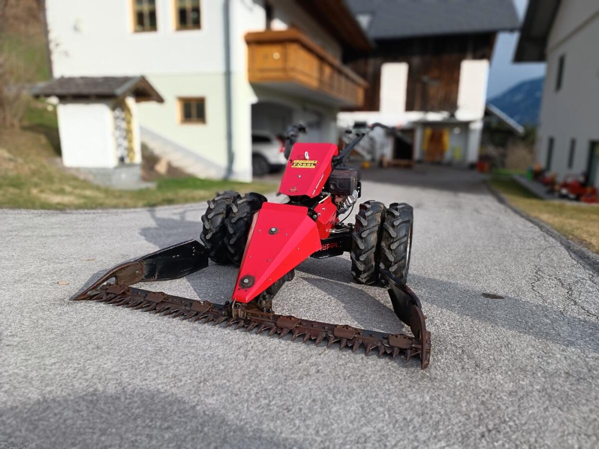 Köppl Bergtalent BT14 2