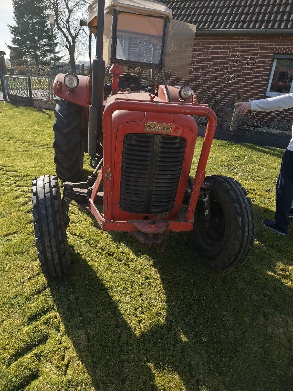 Massey Ferguson 35, Bj. 1957 2