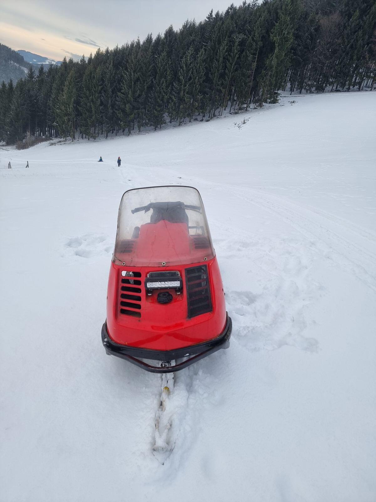 Motorschlitten Alpine Ski-Doo 2