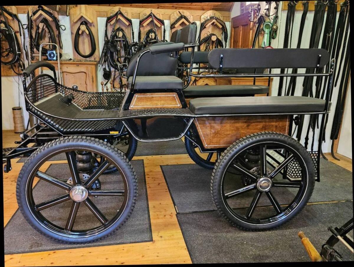 Trainingswagen neu 2