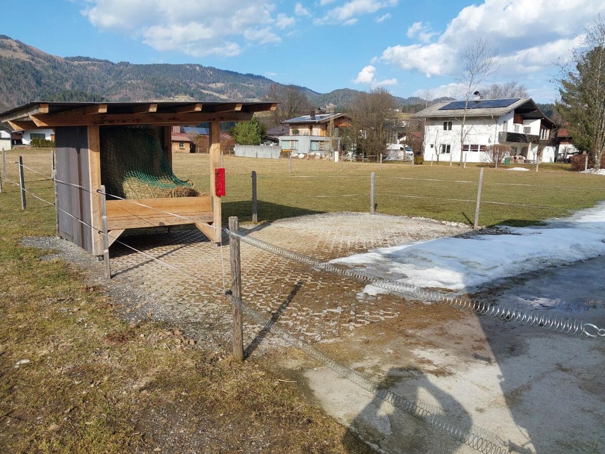 Einstellplatz zu vergeben 3