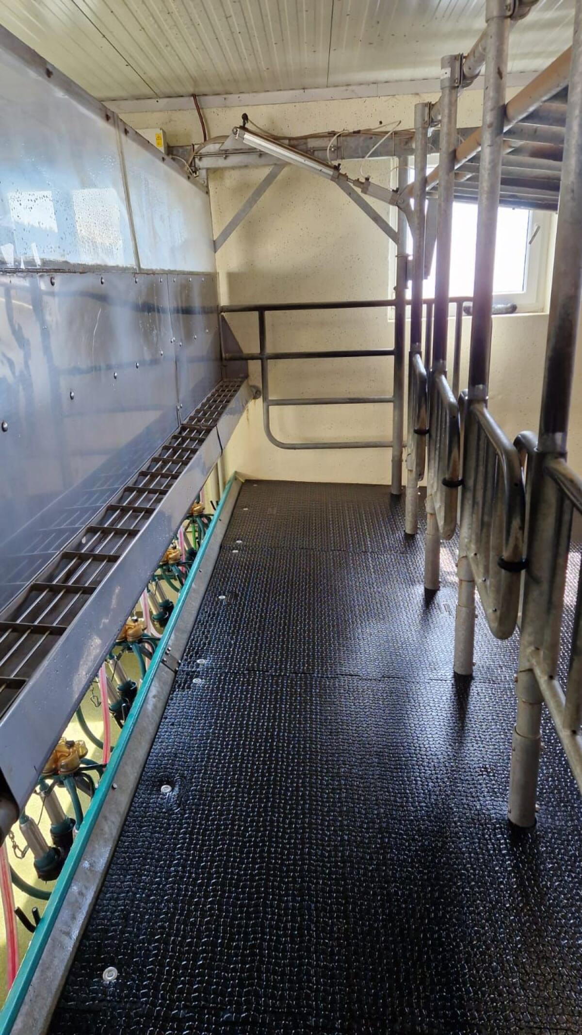 GEA Melkstand 5er Side-by-Side 2