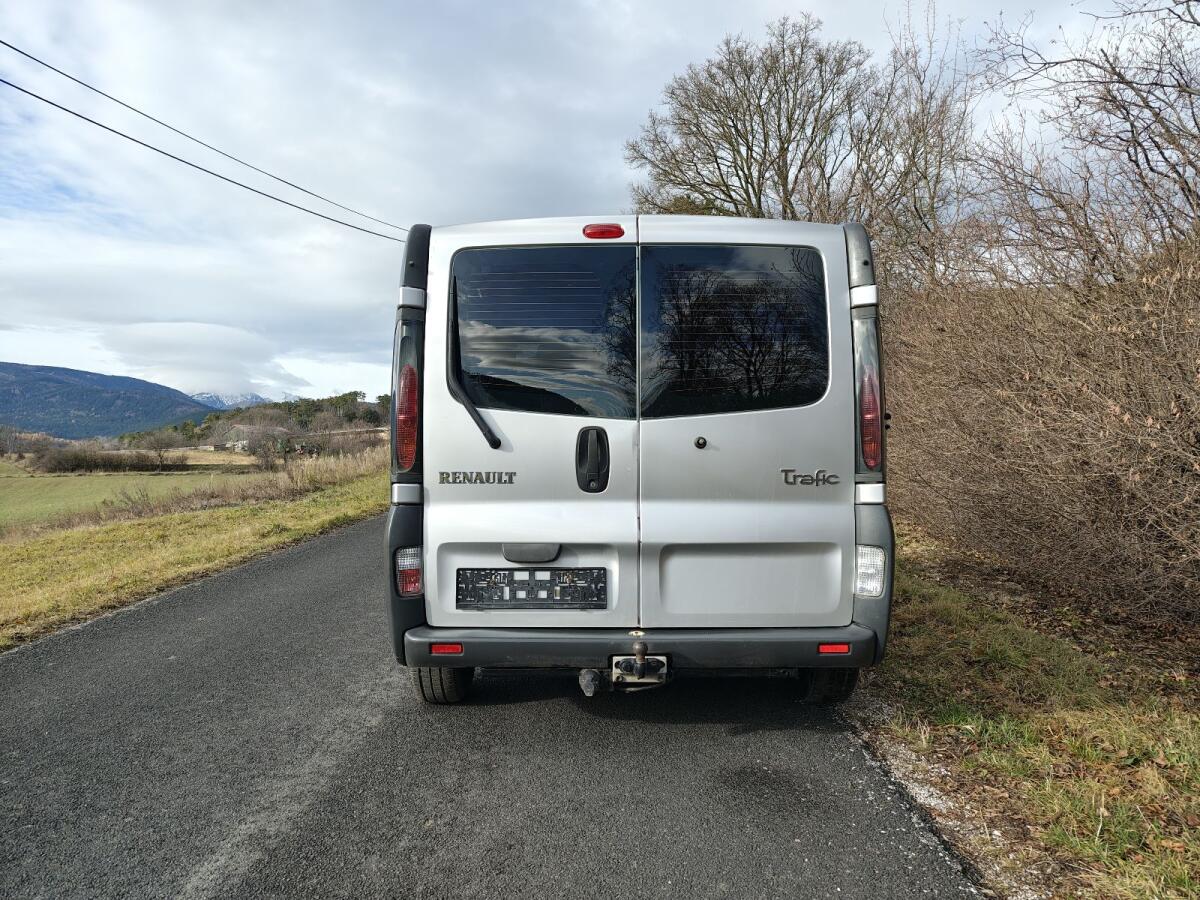 Renault Trafic 9-Sitzer 3