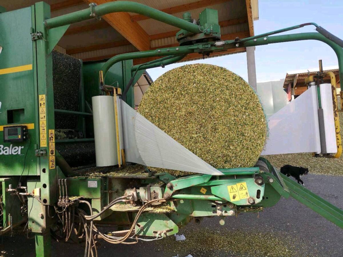 Bio Silomaisballen 2