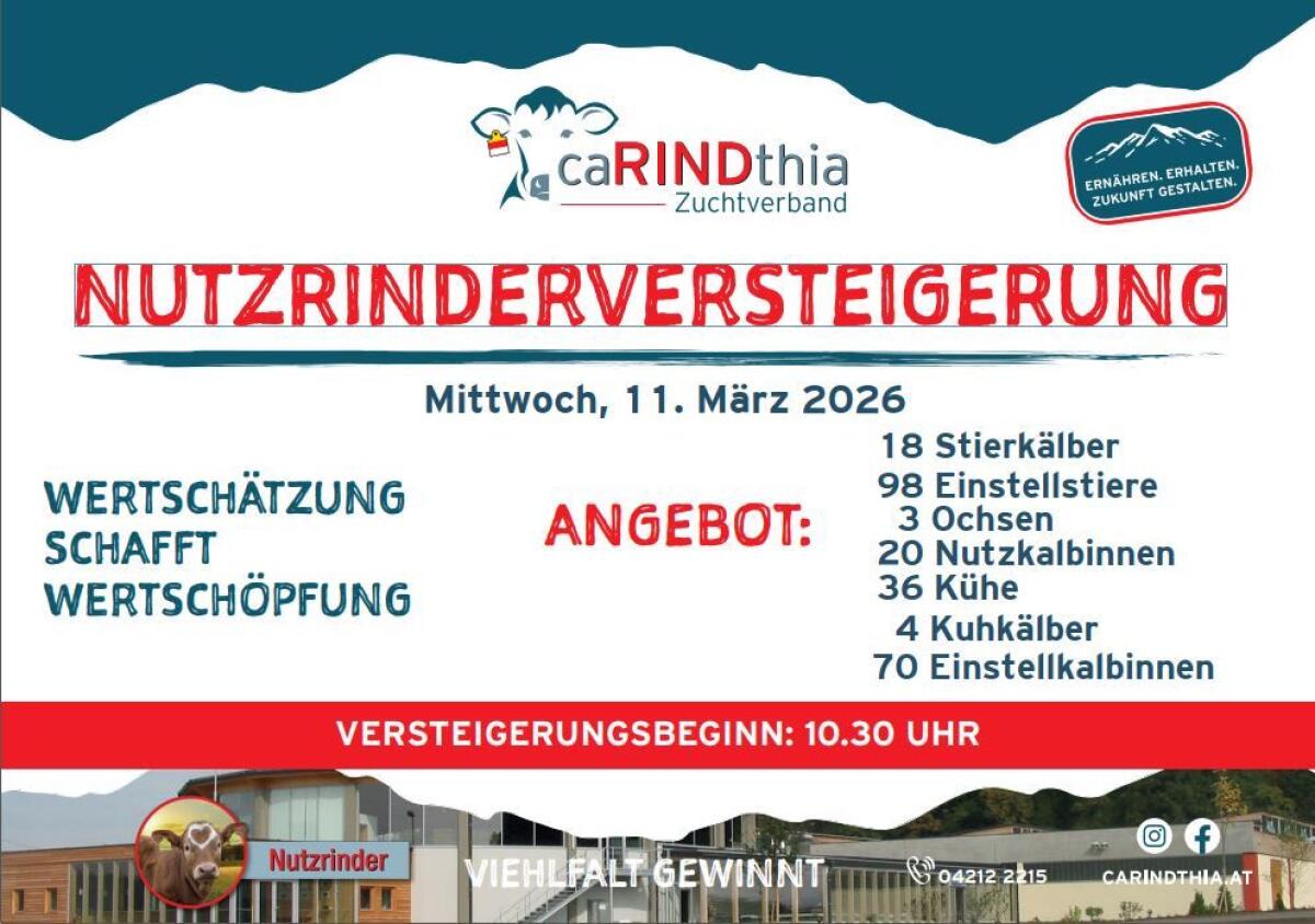 Einsteller Nutzrinder 2