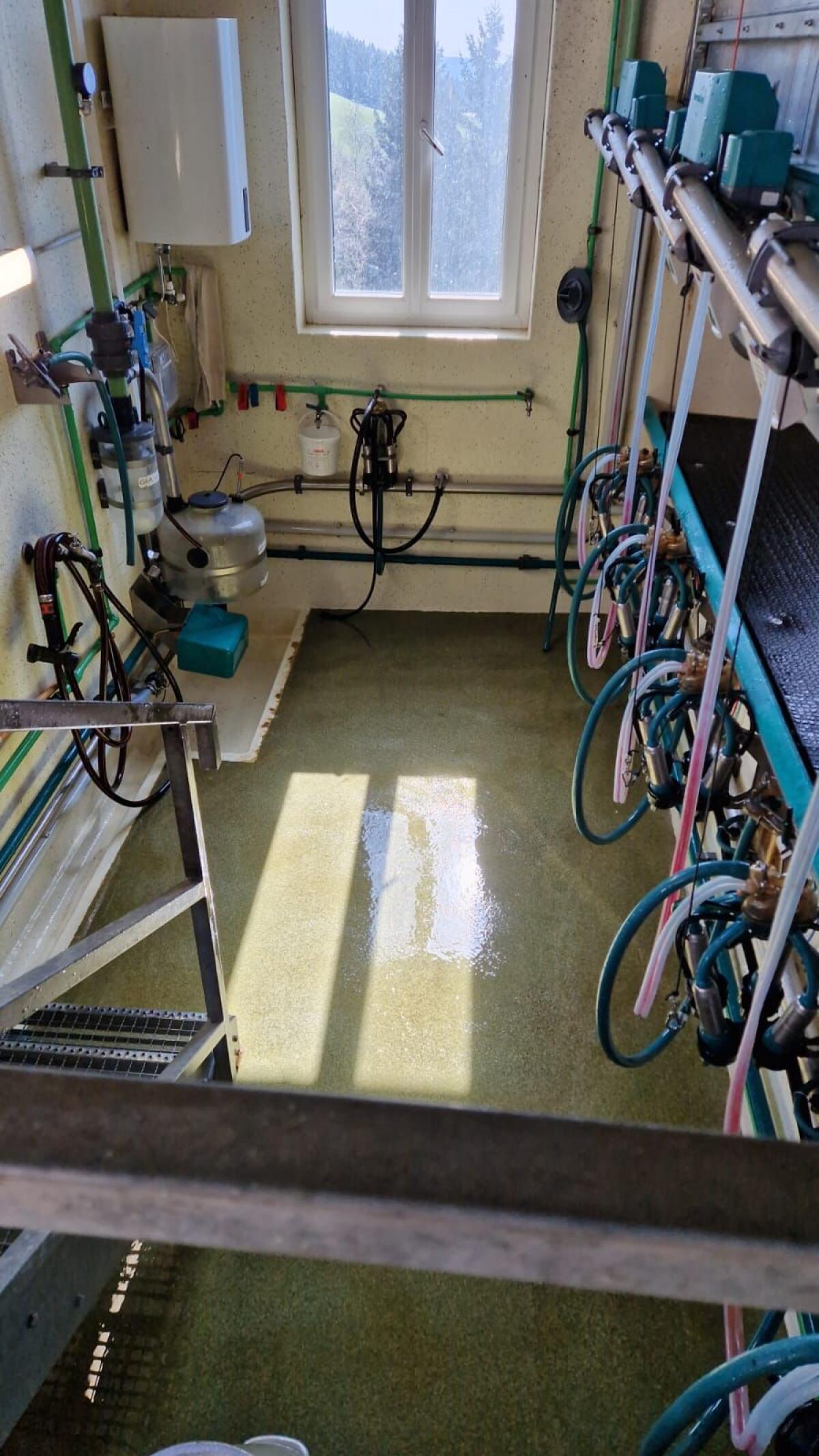 GEA Melkstand 5er Side-by-Side 3