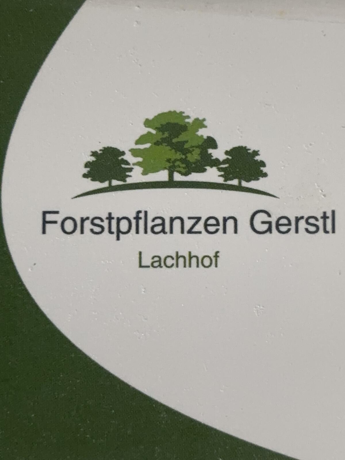 Forstpflanzen