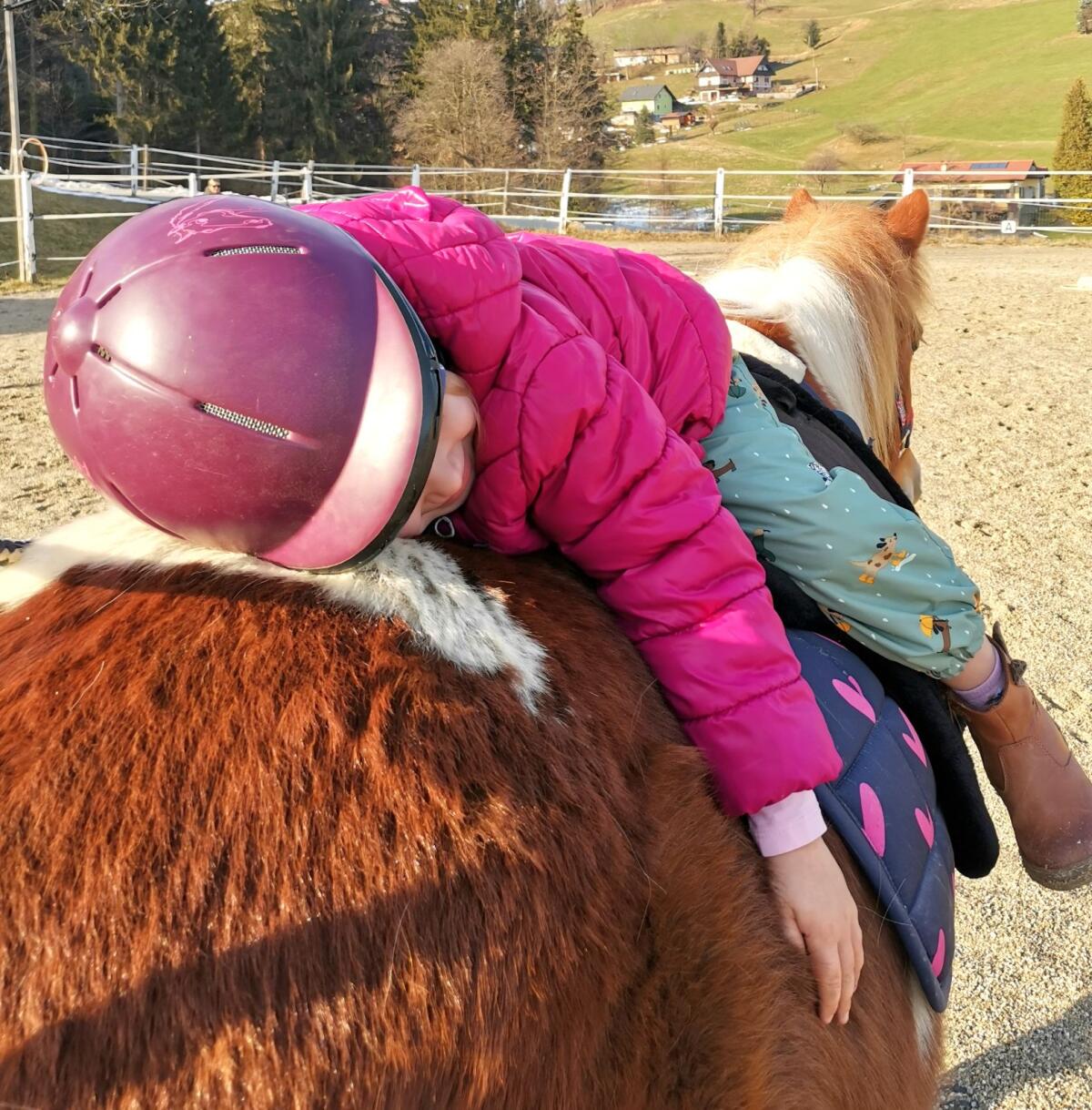 Ponystute 3