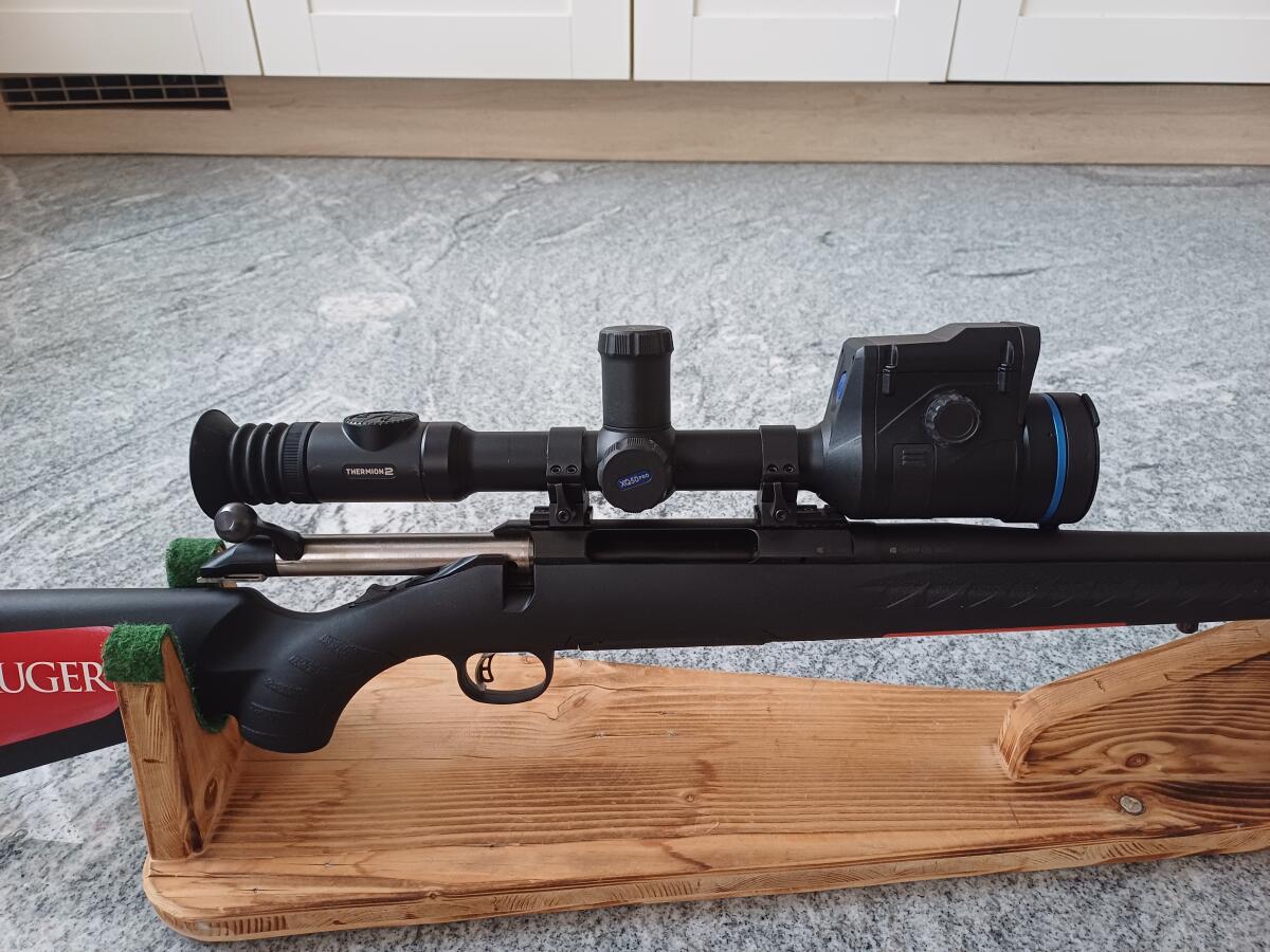 Ruger 2