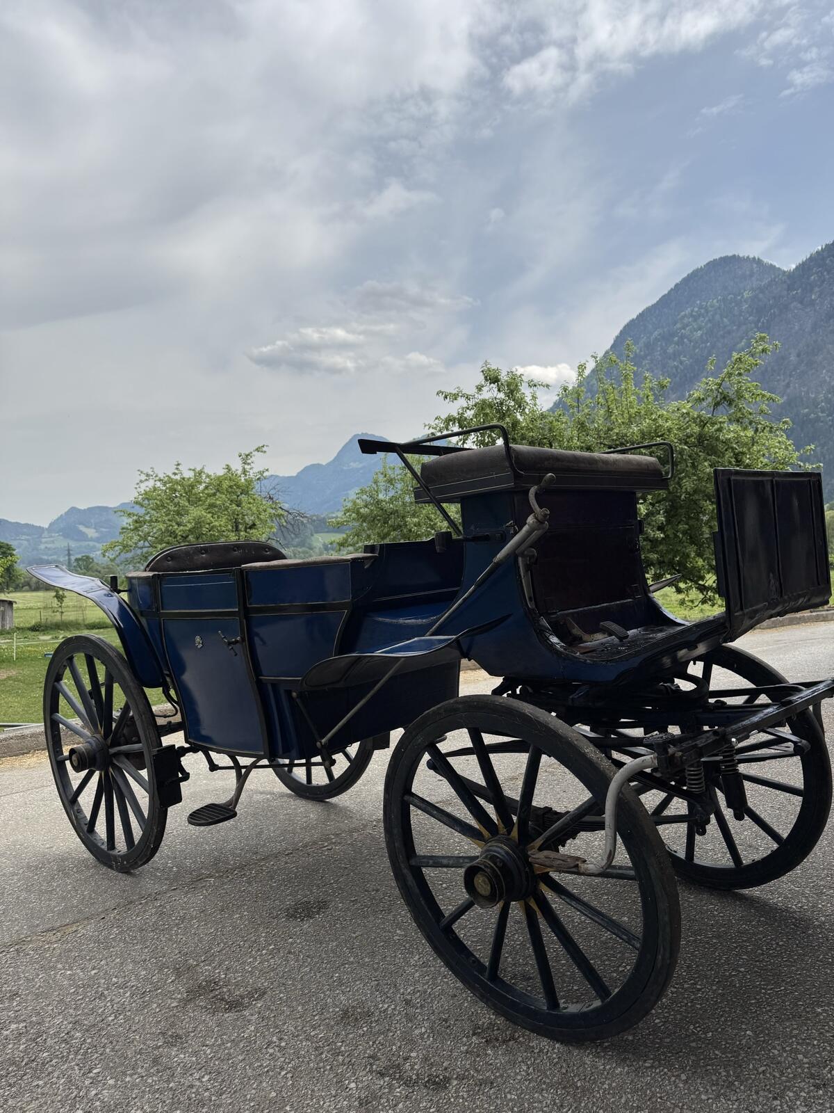 Kutsche zu Verkaufen 3