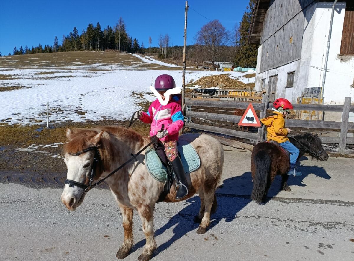 Pony Stute 2