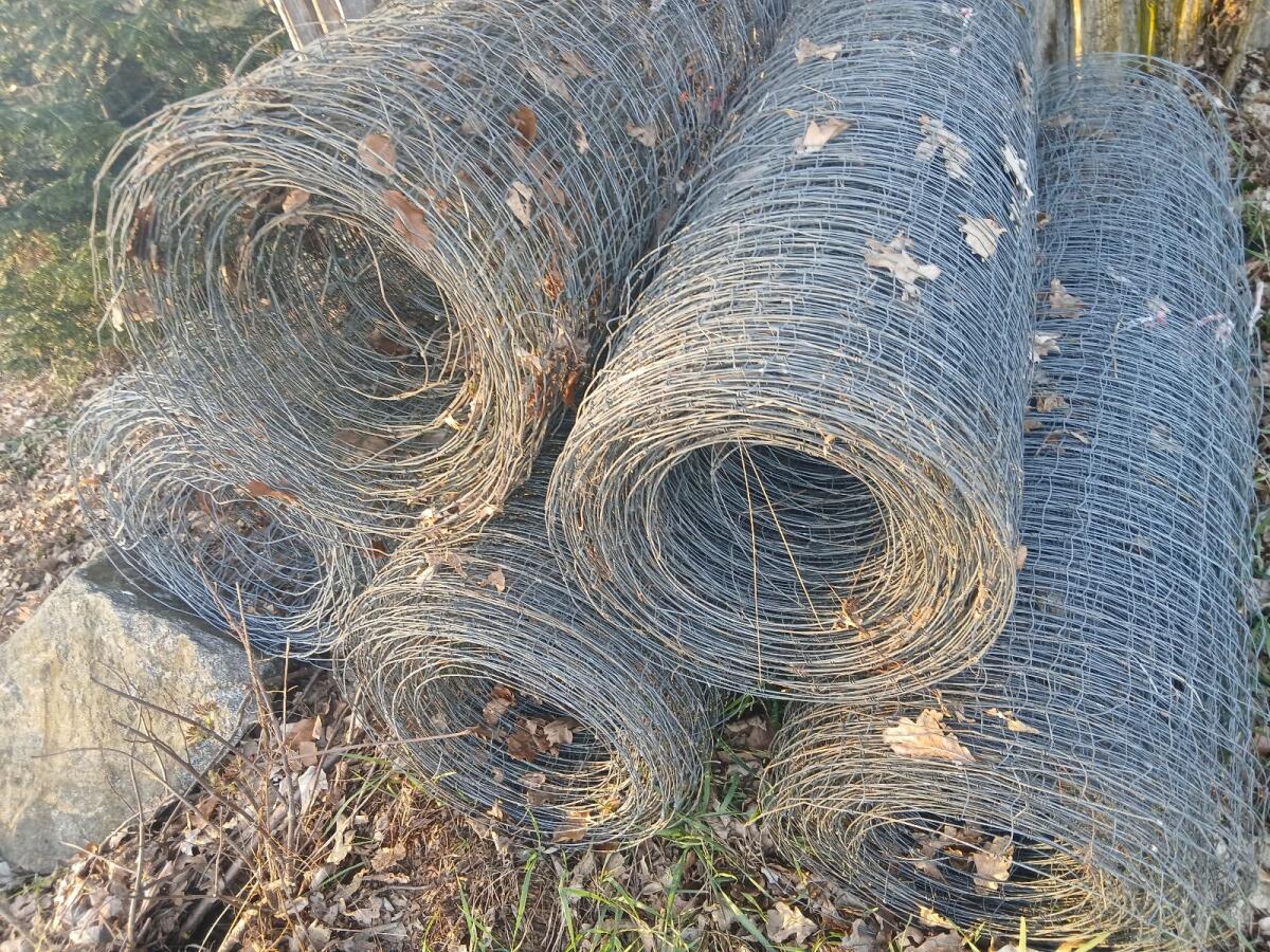 Wildzaun 150 cm hasendicht 3