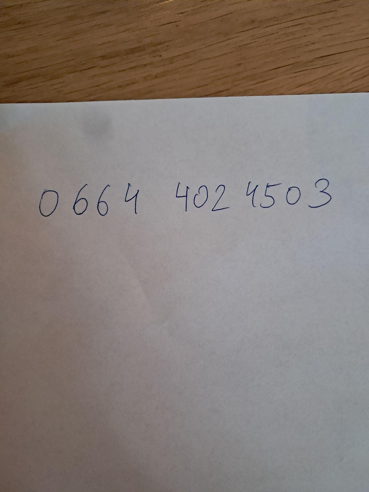 Verkaufe Bio-FL Stierkalb 2