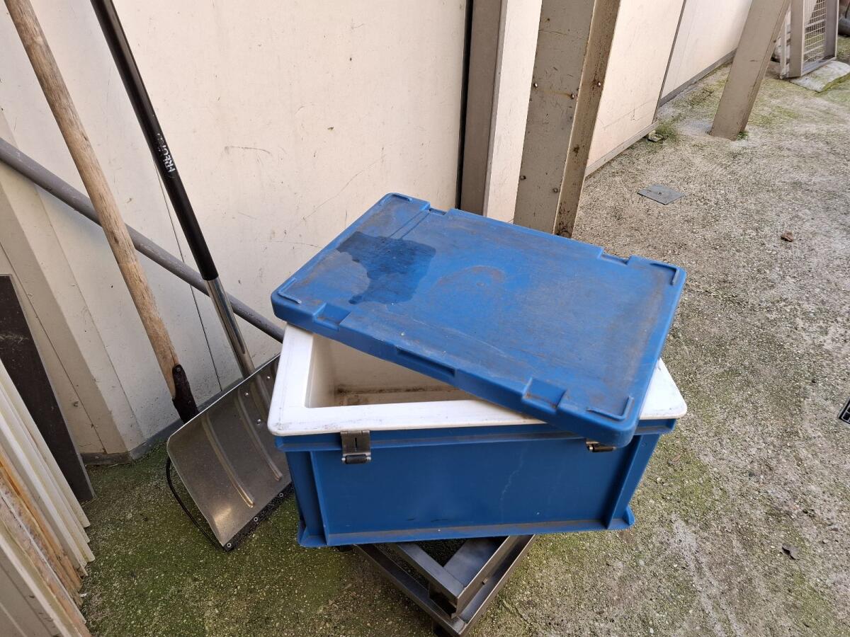Tiefkühlbox 2