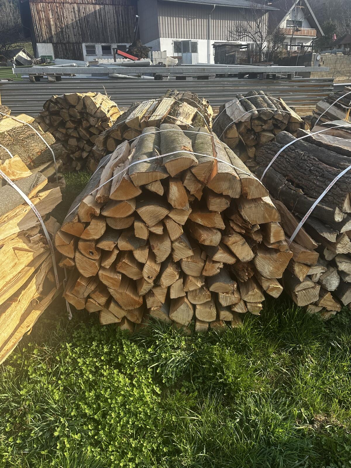Buchen holz bündel 3