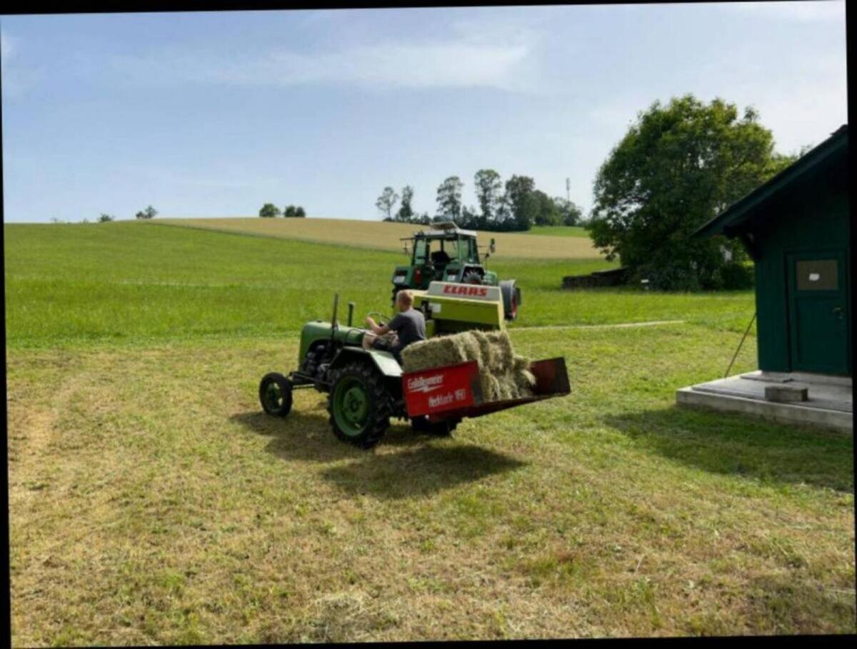 Heu in Kleinballen 2