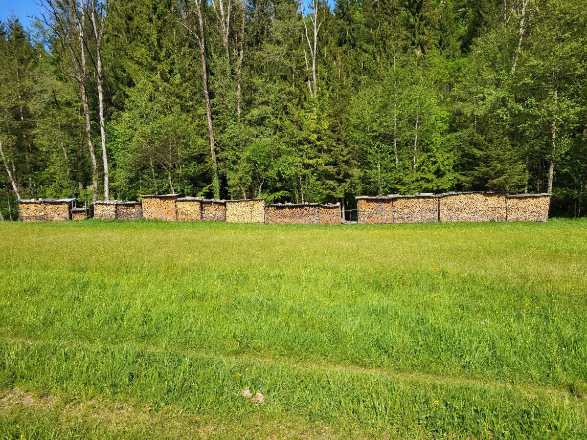 Brennholz weich 2