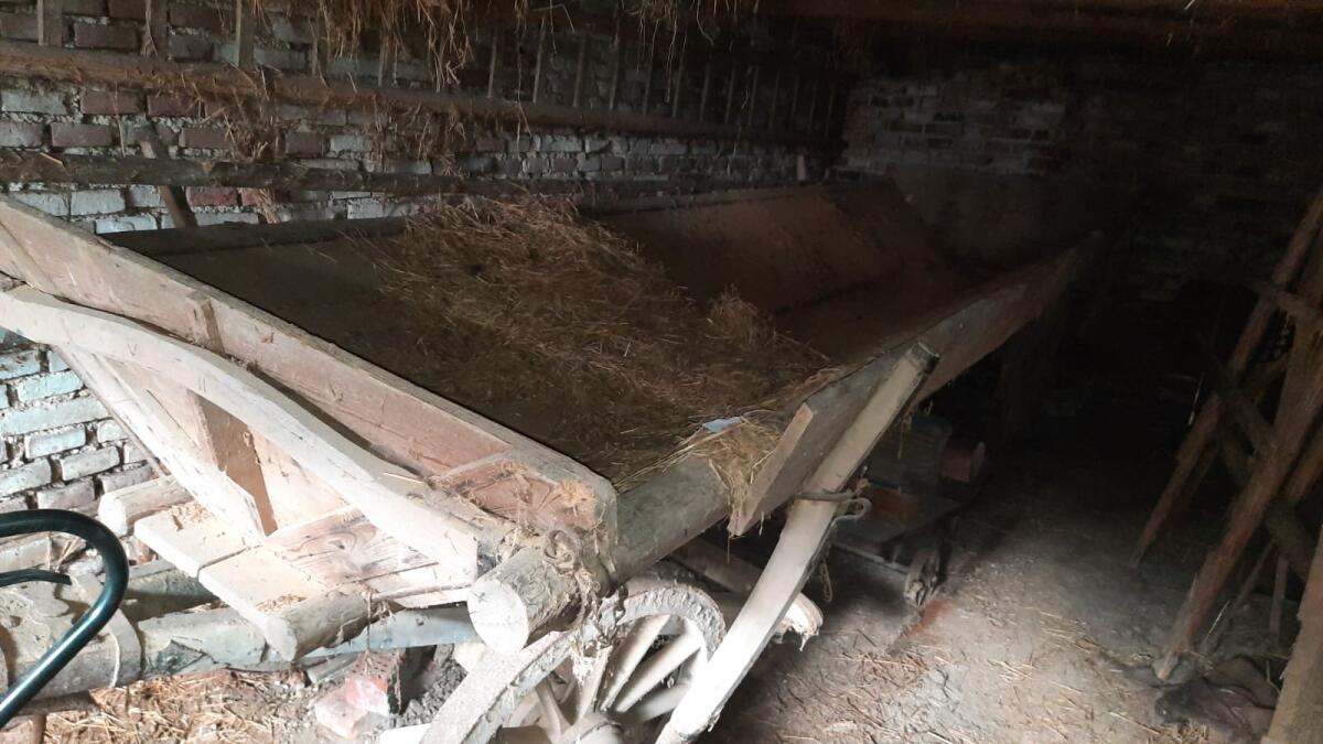 Alter Truhenwagen, Leiterwagen 2