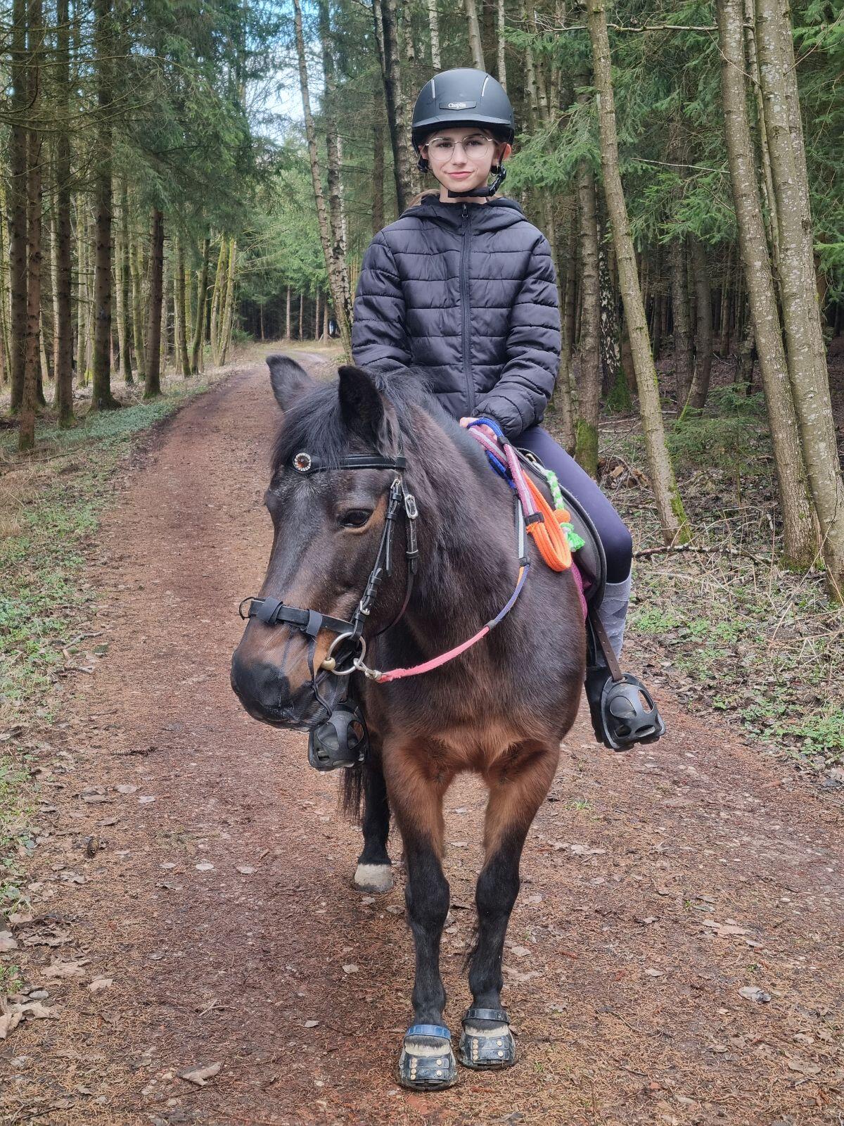 Kinderpony Stute Pony 2