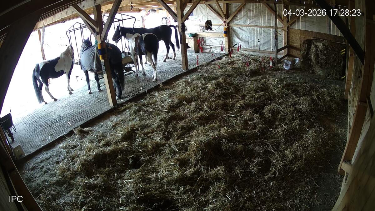 Einstellplatz im Offenstall 2