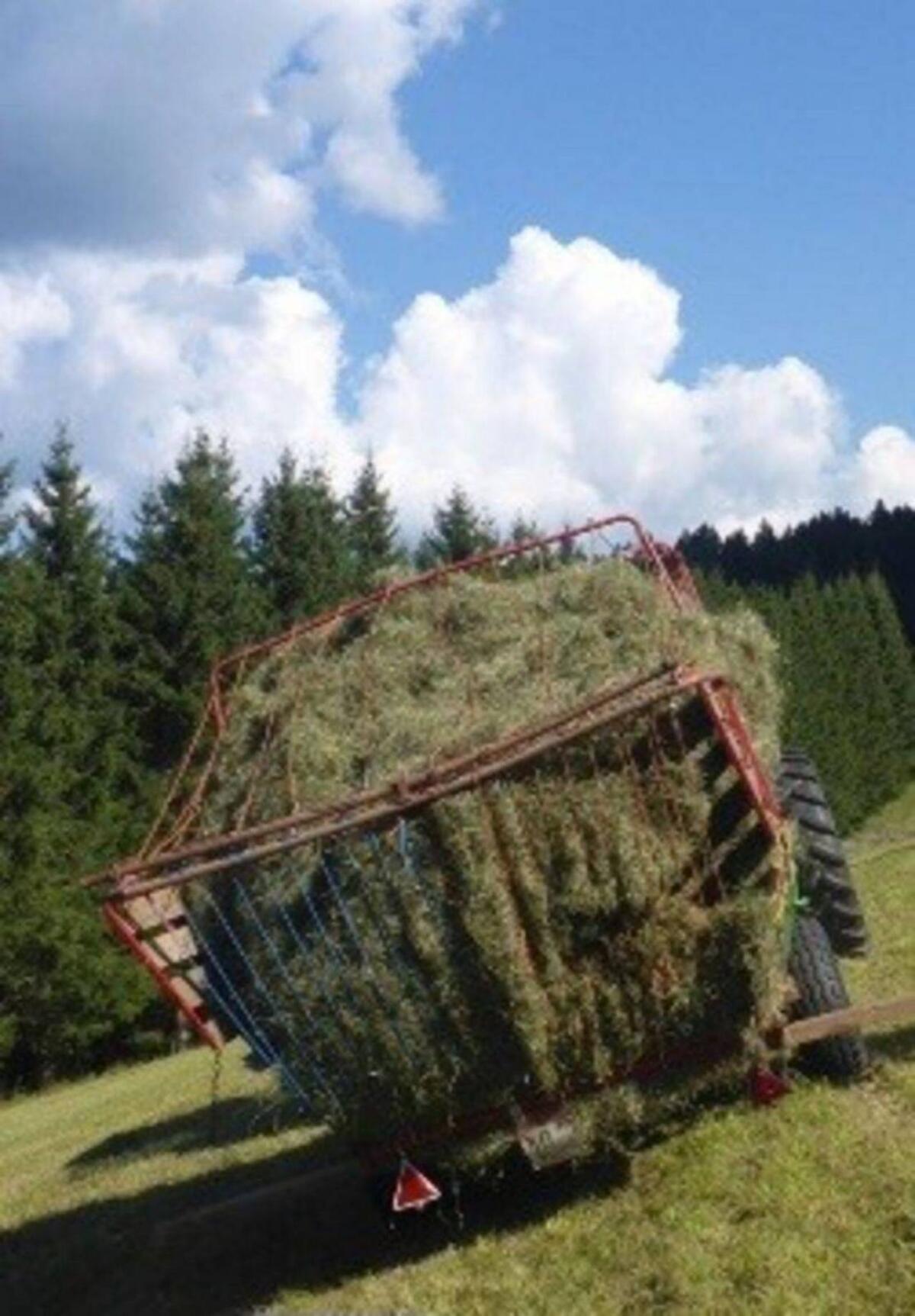 Ladewagen 15 m² 3
