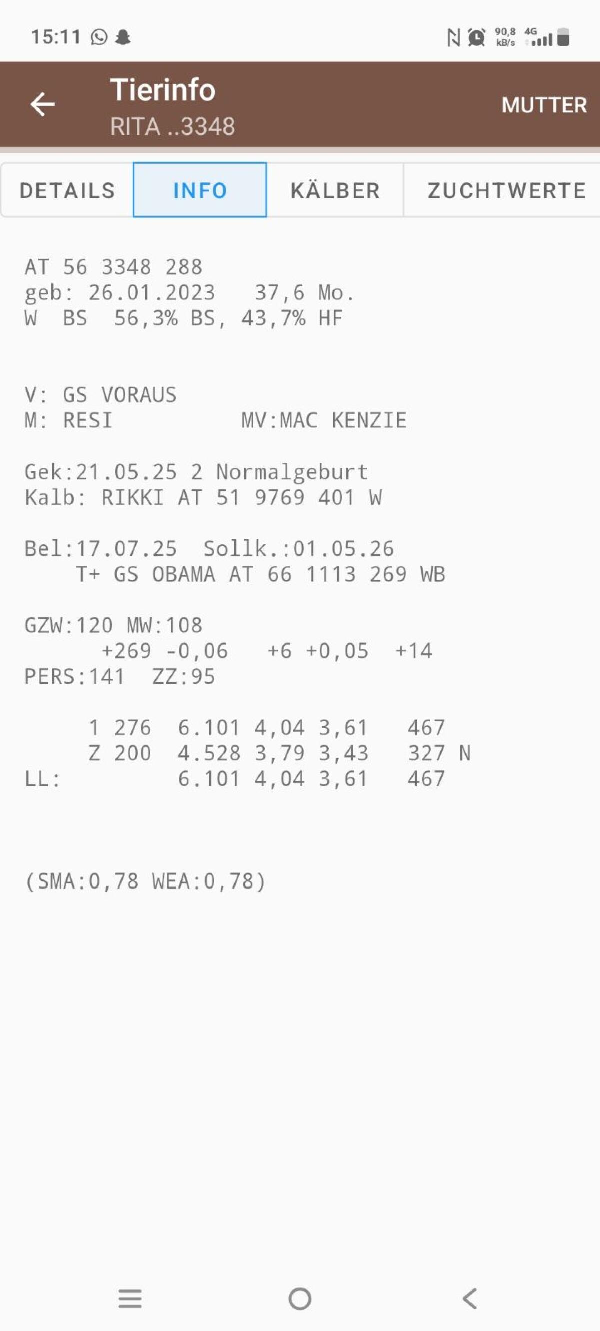 Verkaufe Trächtige Kuh 3