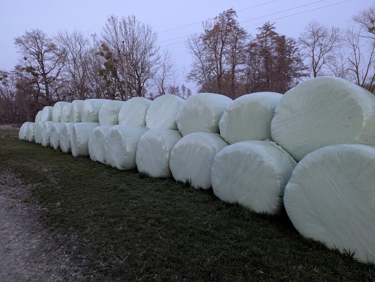 Silageballen 2