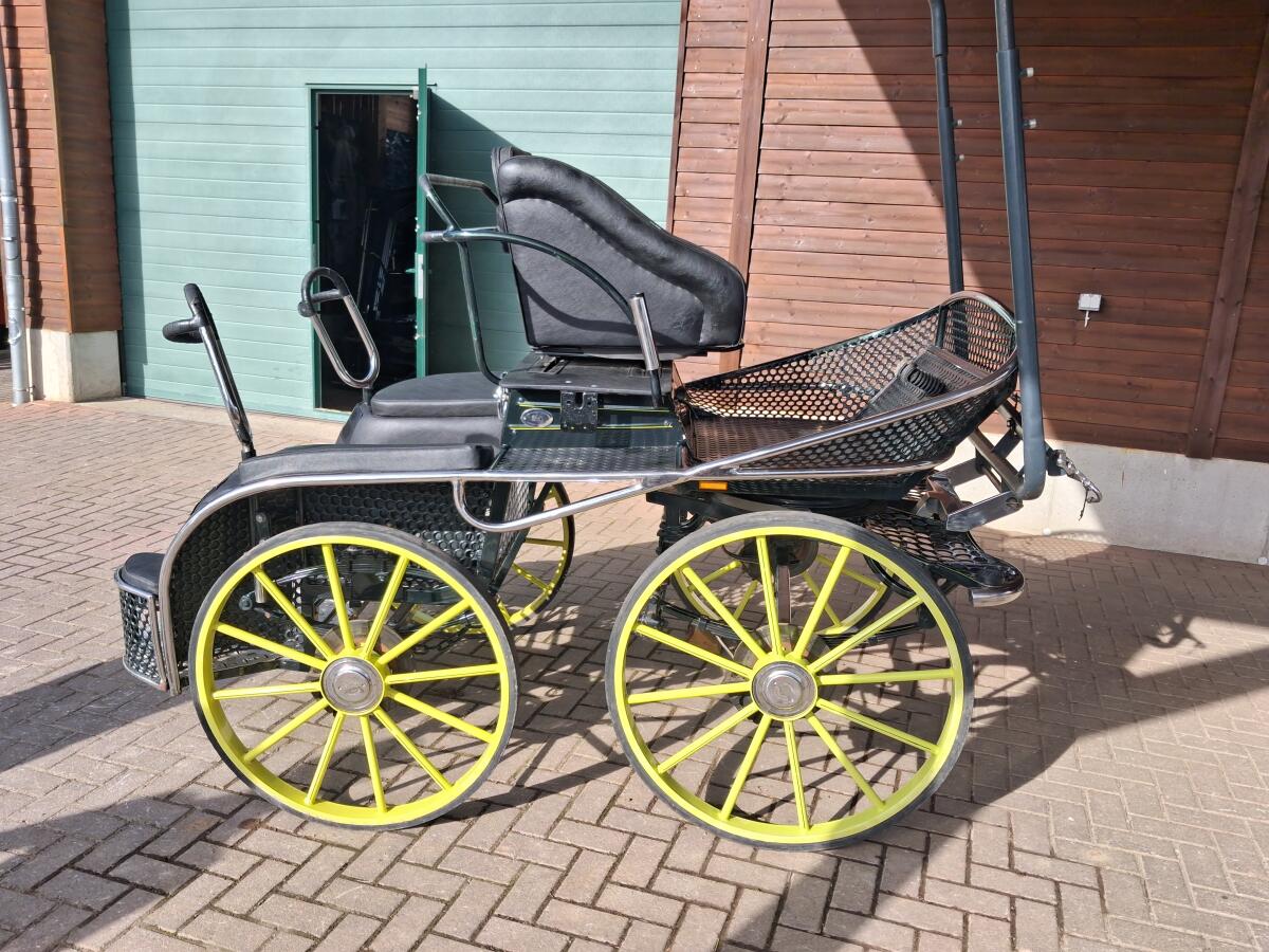 Kutsche Marathonwagen 2