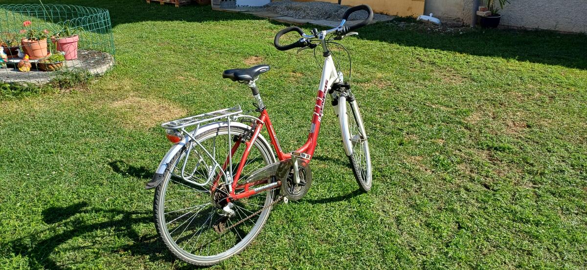 City Bike Genesis 2