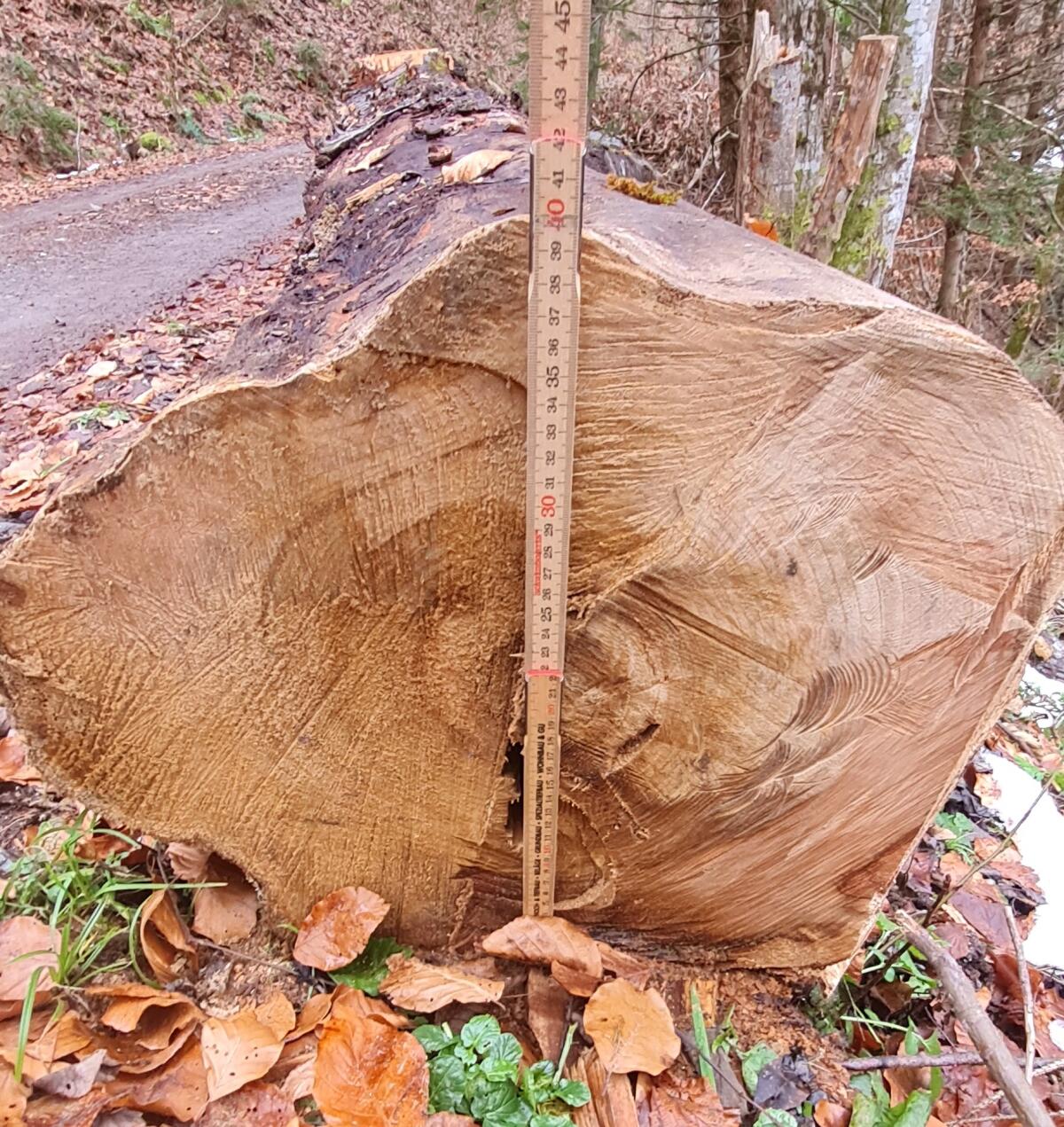 Edles Kirschholz ca. 1,30m Festmeter 2