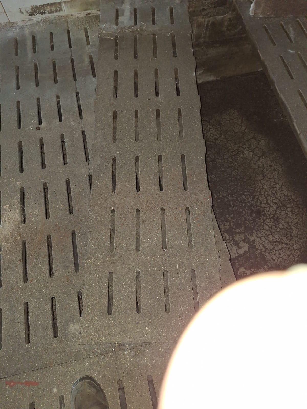 Schweinestall Zubehör 3